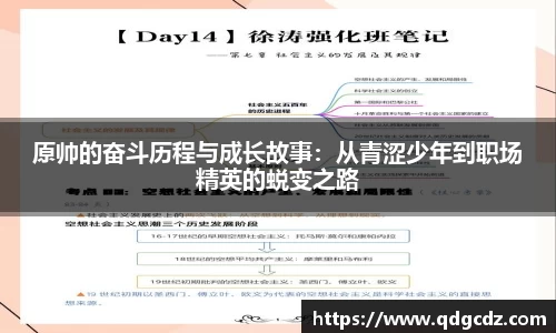 多宝电竞官方网站